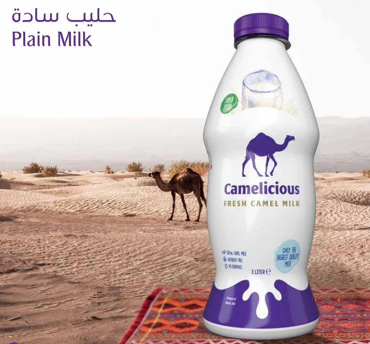 Camel Milk Plain 1ltr